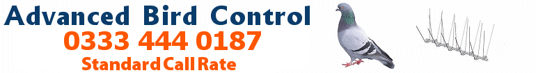Bird Control London